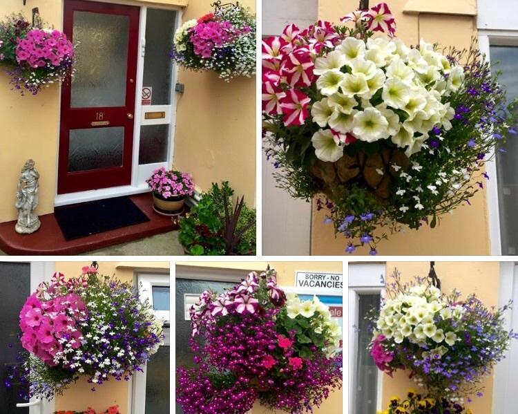 Bed and Breakfast Crowndale Torquay - Exclusively For Adults Экстерьер фото