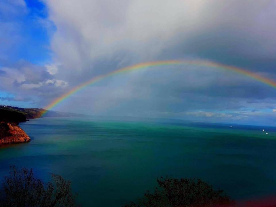 Bed and Breakfast Crowndale Torquay - Exclusively For Adults Экстерьер фото